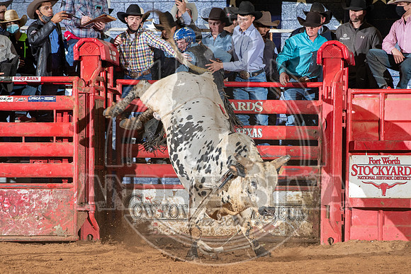 2021_Jan_02_ABBI_578