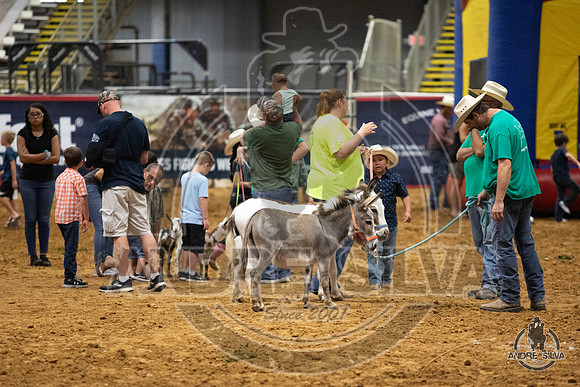 07_06_19_Mesquite_006_Silva