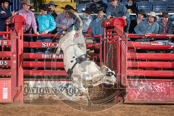 2021_Jan_02_ABBI_434