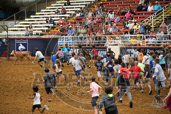 06_29_19_Mesquite_068_Silva