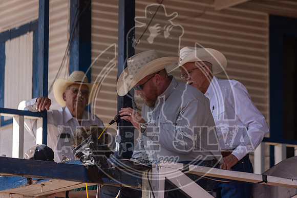 2024_July_03_Barrel Racing_1189