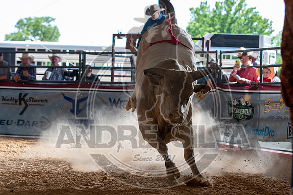 20_May_09_ABBI_100