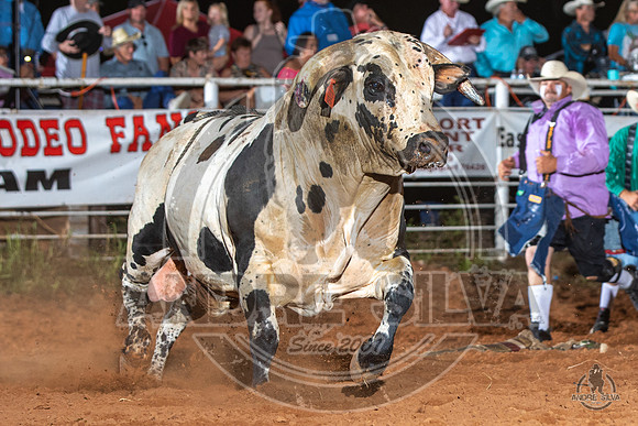 2020_Aug_08_Bridgeport_TX_140