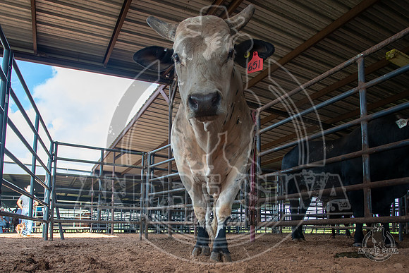 2020_July_18_ABBI_032
