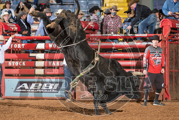 2021_Jan_01_ABBI_090