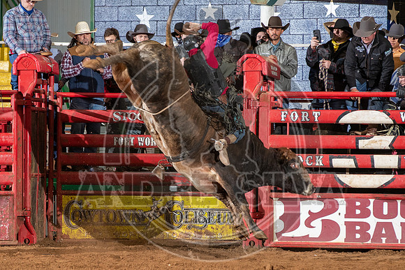 2021_Jan_02_ABBI_390