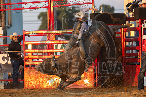 2024 Cowtown Rodeo_R1_XTREME BULLS_-Zack Oberholzer_Blue Duck__AndreSilva_284