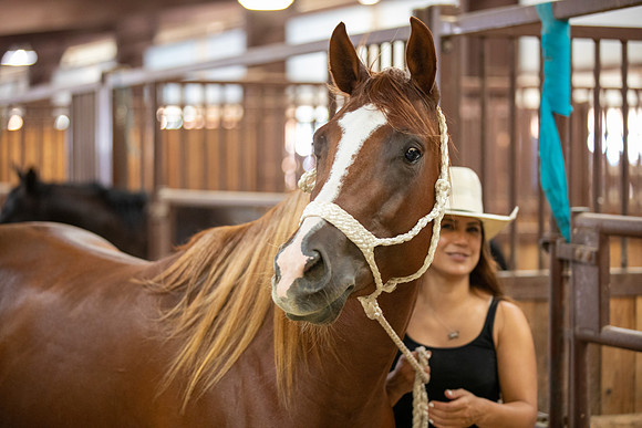 2020_July_25_PatyCowgirl_059