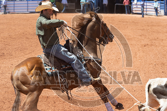 2024_July_02_Team_Roping_342