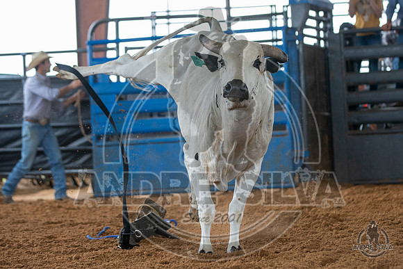 2020_May_23_ABBI_074