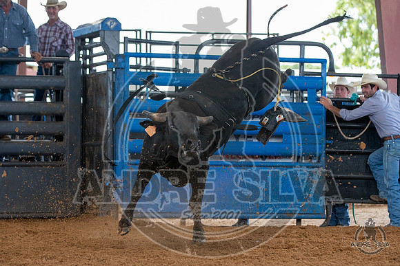 2020_May_23_ABBI_053