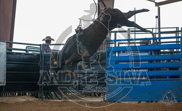 2020_May_23_ABBI_263