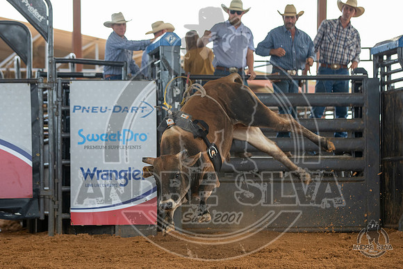 2020_May_23_ABBI_184