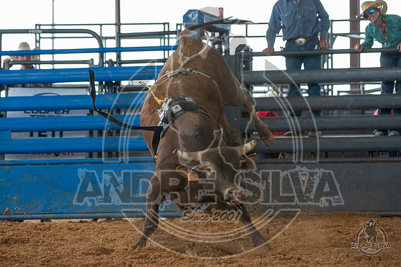 2020_May_23_ABBI_078