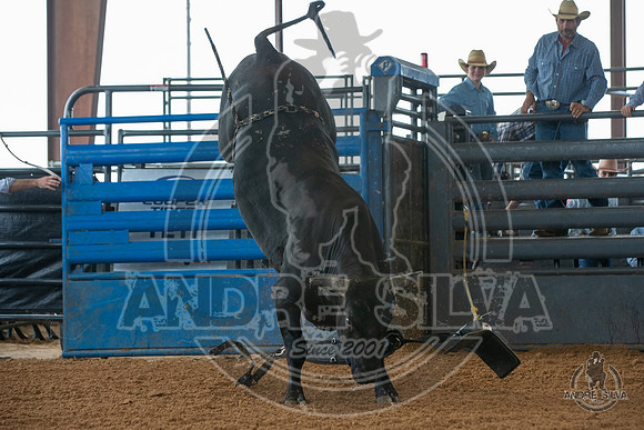 2020_May_23_ABBI_022