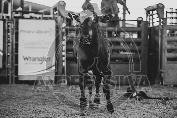 2020_May_23_ABBI_115