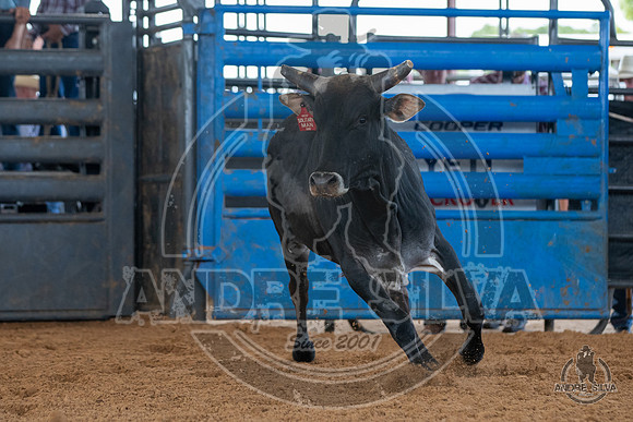2020_May_23_ABBI_044