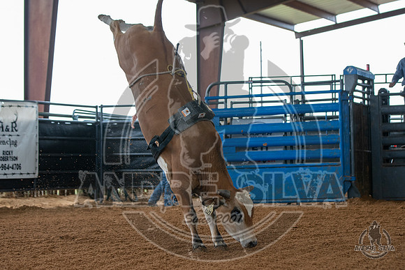 2020_May_23_ABBI_136
