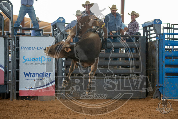 2020_May_23_ABBI_047