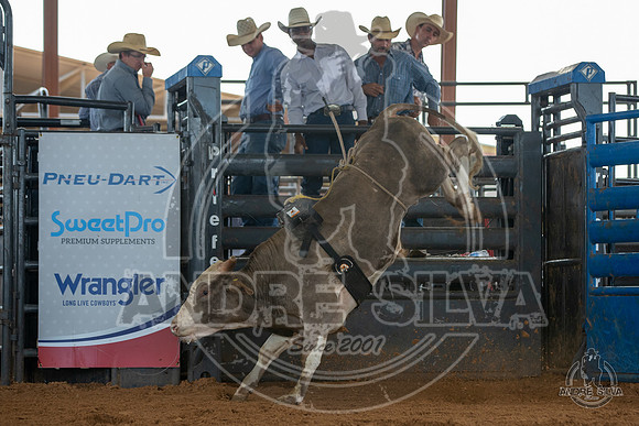2020_May_23_ABBI_275