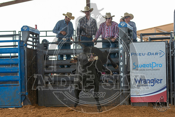 2020_May_23_ABBI_069