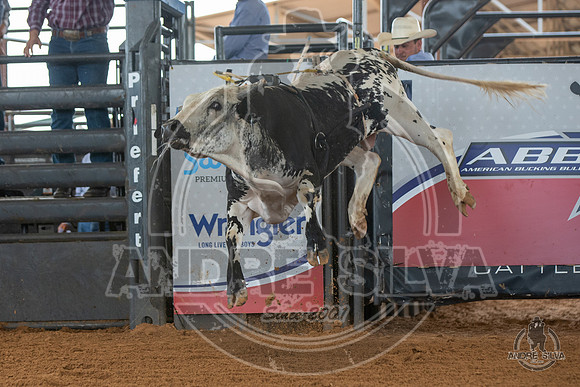 2020_May_23_ABBI_153