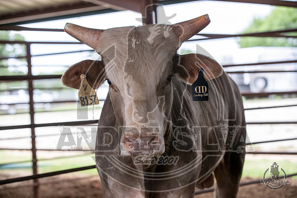 2020_May_23_ABBI_350