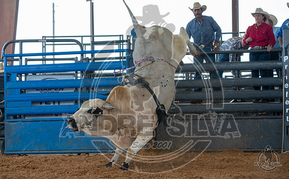 2020_May_23_ABBI_095