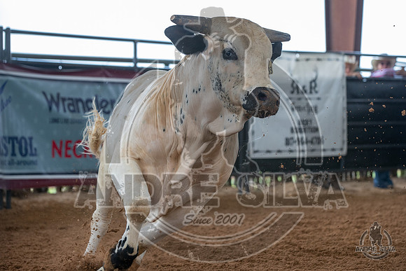2020_May_23_ABBI_101