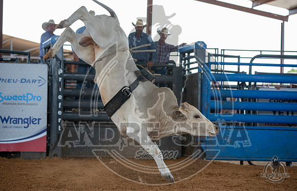 2020_May_23_ABBI_061