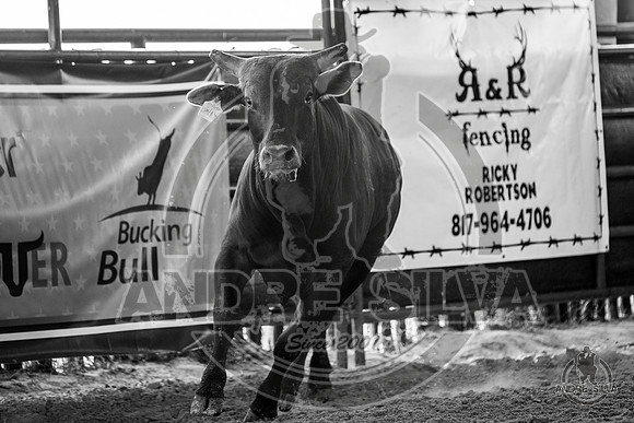 2020_May_23_ABBI_056