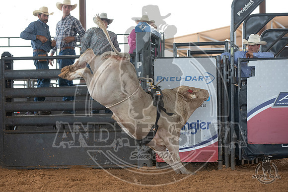 2020_May_23_ABBI_088