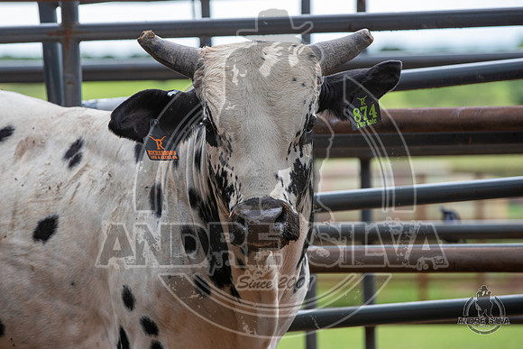 2020_May_23_ABBI_348