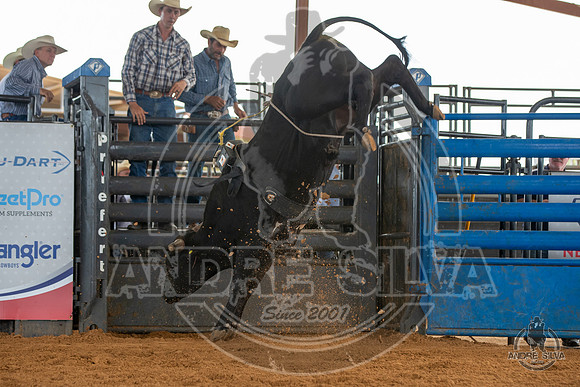 2020_May_23_ABBI_178