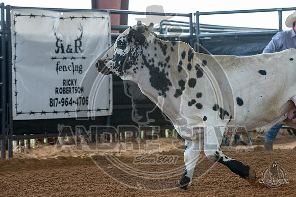 2020_May_23_ABBI_008