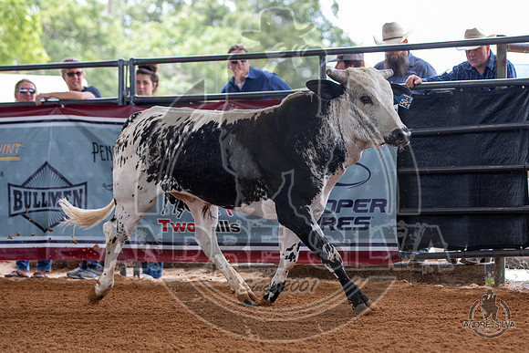 2020_May_23_ABBI_154