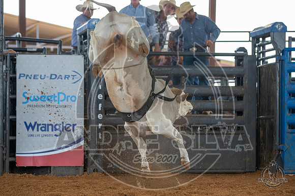 2020_May_23_ABBI_058