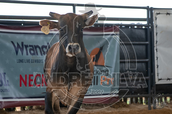 2020_May_23_ABBI_189