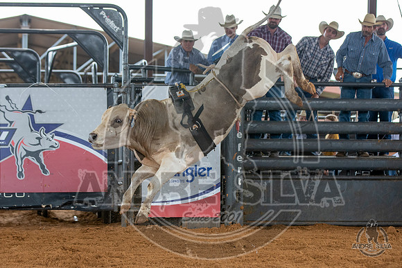 2020_May_23_ABBI_176