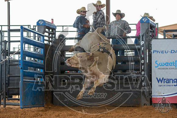 2020_May_23_ABBI_087