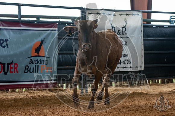 2020_May_23_ABBI_149