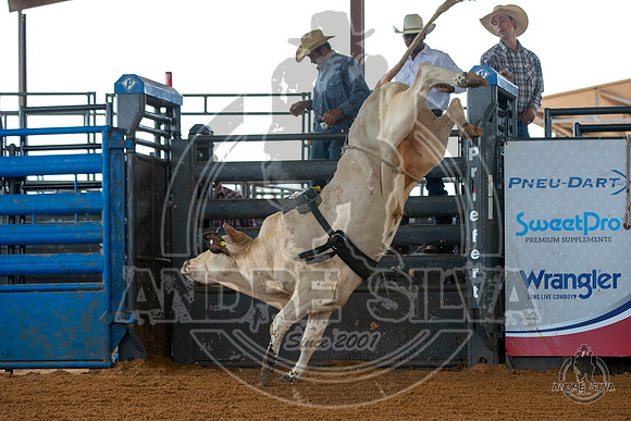 2020_May_23_ABBI_126
