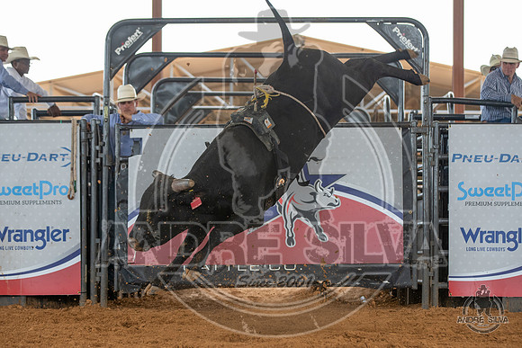 2020_May_23_ABBI_179