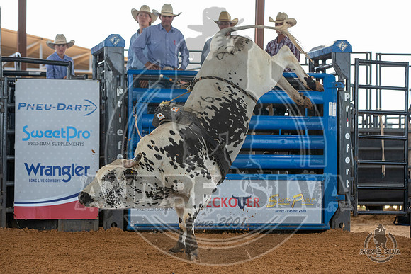 2020_May_23_ABBI_013