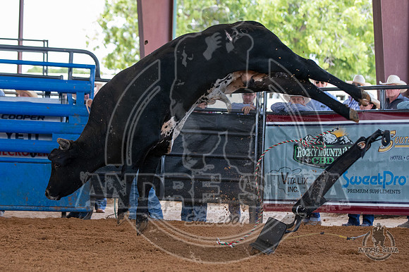 2020_May_23_ABBI_038