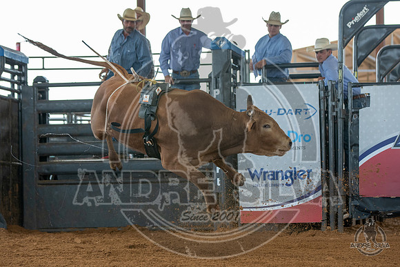 2020_May_23_ABBI_246