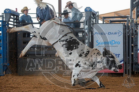 2020_May_23_ABBI_027