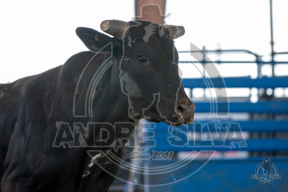 2020_May_23_ABBI_211