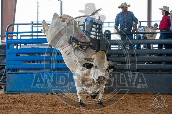 2020_May_23_ABBI_097