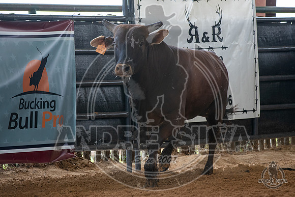 2020_May_23_ABBI_055